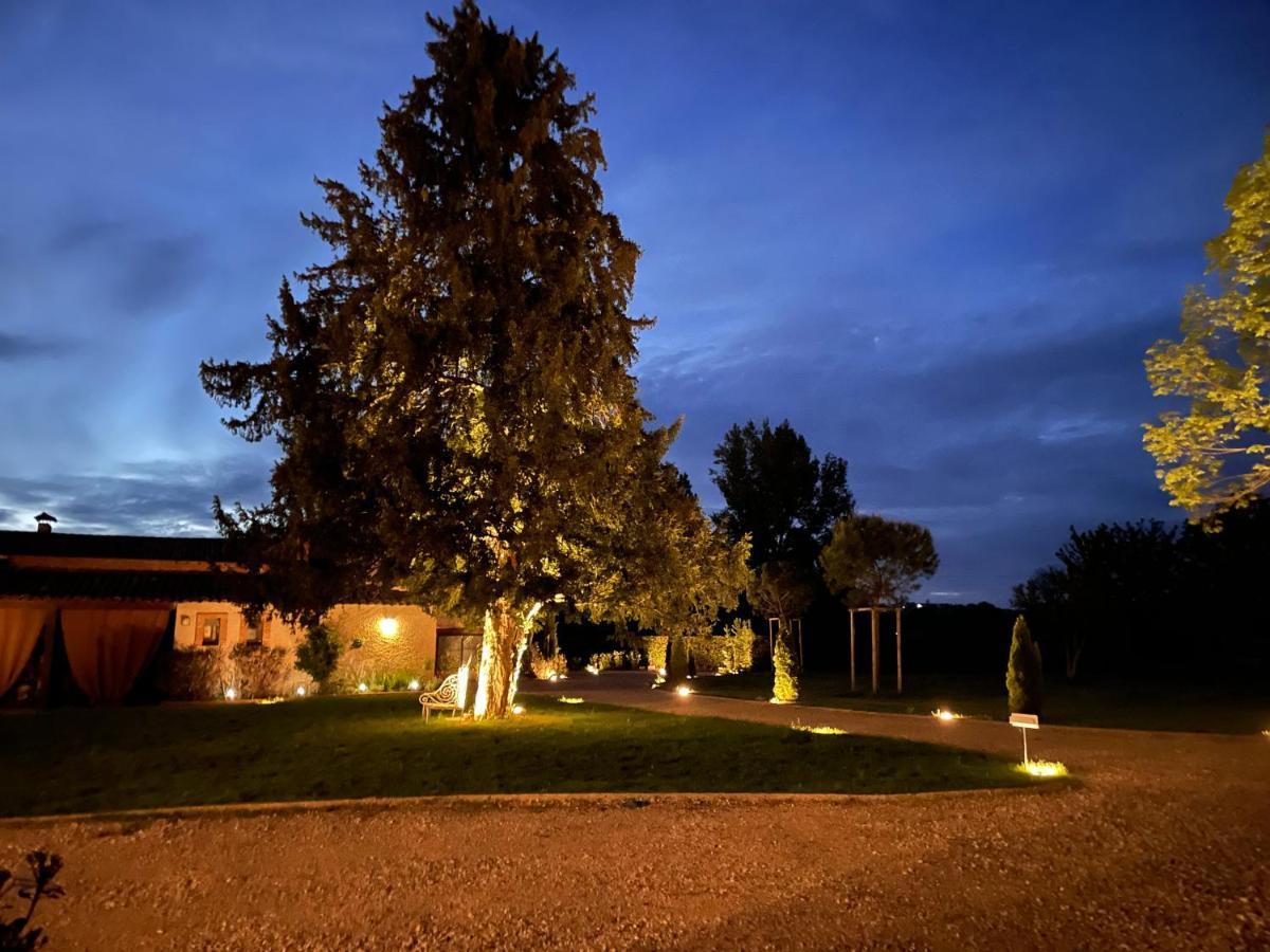 Chateau Du Go Albi Exterior foto