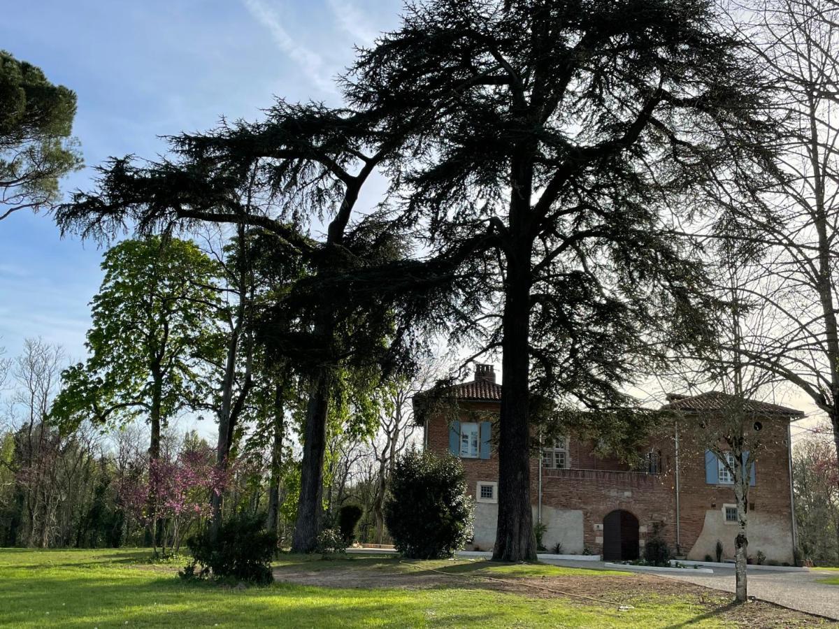 Chateau Du Go Albi Exterior foto
